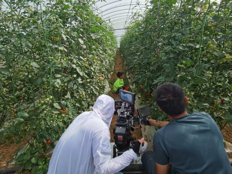 高效落地，南江县TVC拍摄公司助力品牌抢占市场先机
